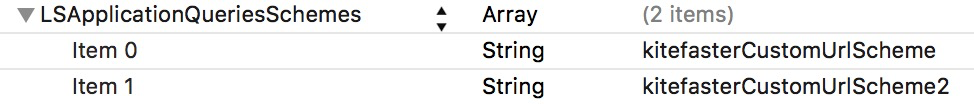 LSApplicationQueriesSchemes